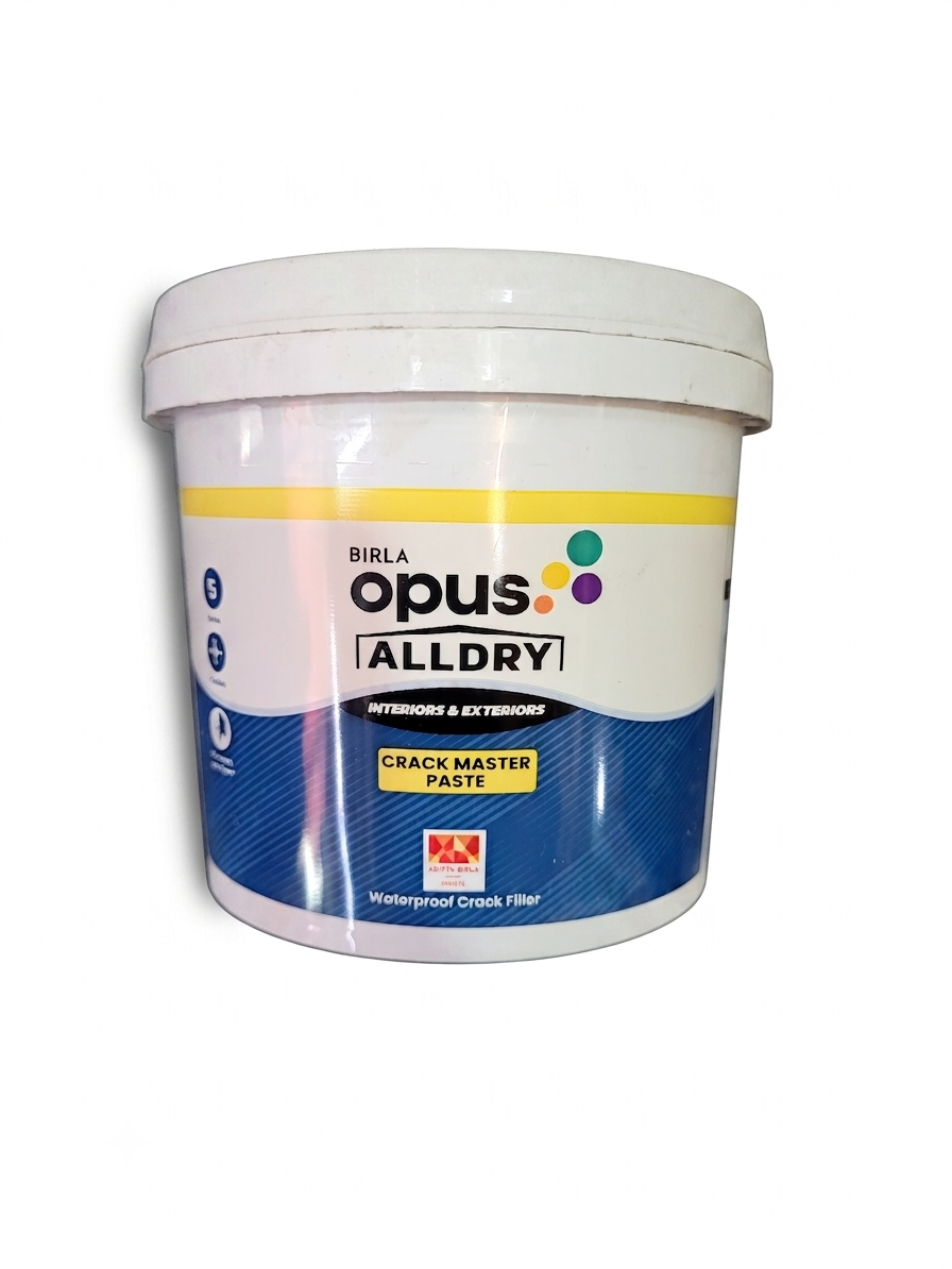 Birla Opus Alldry Crack Master Paste